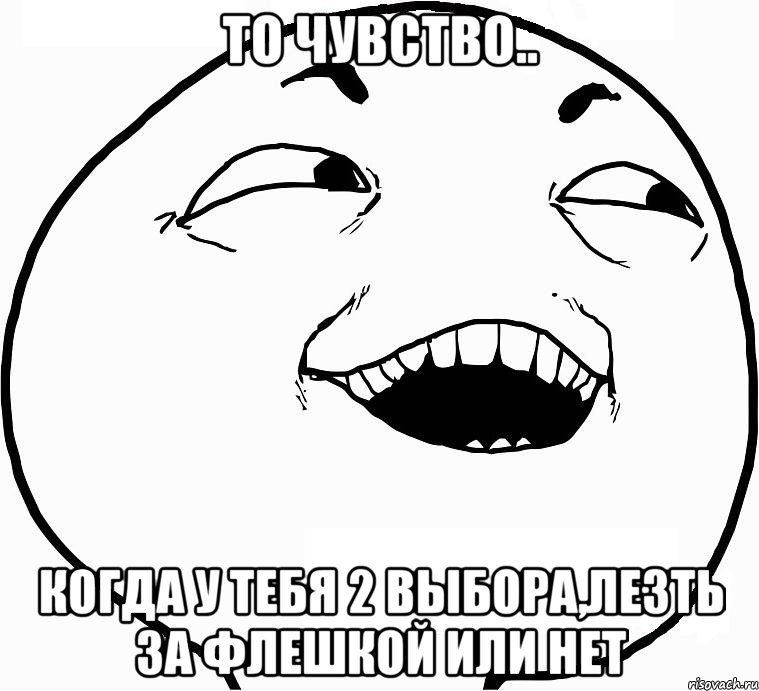 то чувство.. когда у тебя 2 выбора,лезть за флешкой или нет, Мем Дааа