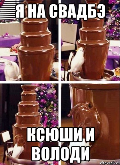 я на свадбэ ксюши и володи, Мем дааааа