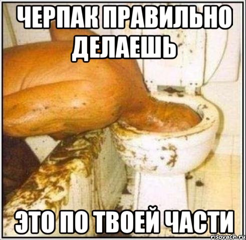 черпак правильно делаешь это по твоей части, Мем Дайвер