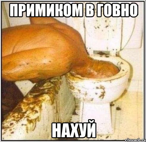 примиком в говно нахуй, Мем Дайвер