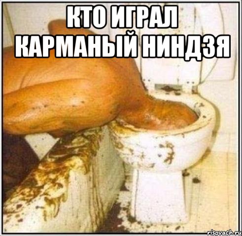 кто играл карманый ниндзя , Мем Дайвер