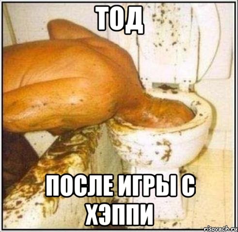 тод после игры с хэппи, Мем Дайвер