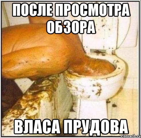 после просмотра обзора власа прудова, Мем Дайвер