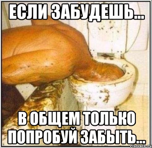 Если забудешь... в общем только попробуй забыть..., Мем Дайвер