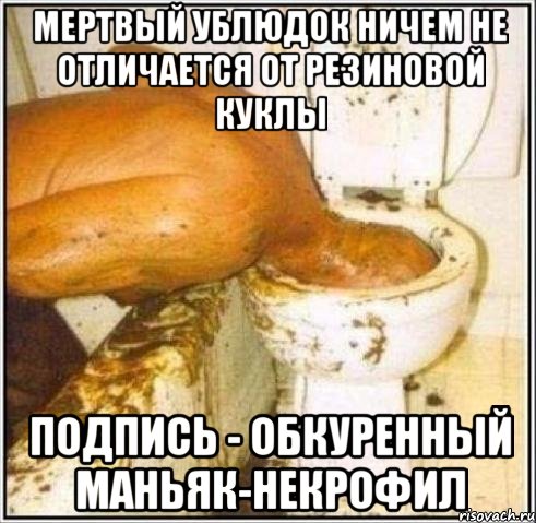 Мертвый ублюдок ничем не отличается от резиновой куклы Подпись - обкуренный маньяк-некрофил, Мем Дайвер