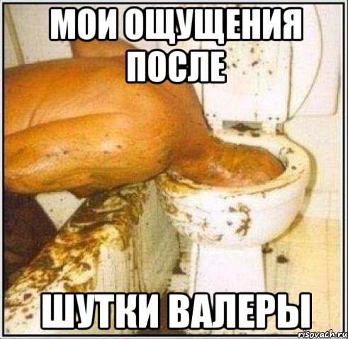 Мои ощущения после Шутки Валеры, Мем Дайвер