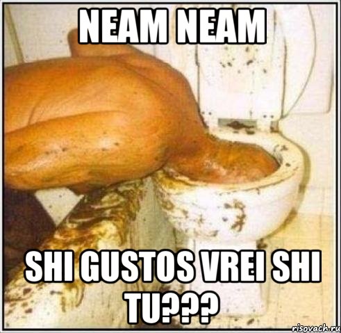 NEAM NEAM SHI GUSTOS VREI SHI TU???, Мем Дайвер