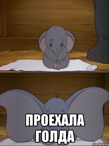  проехала голда