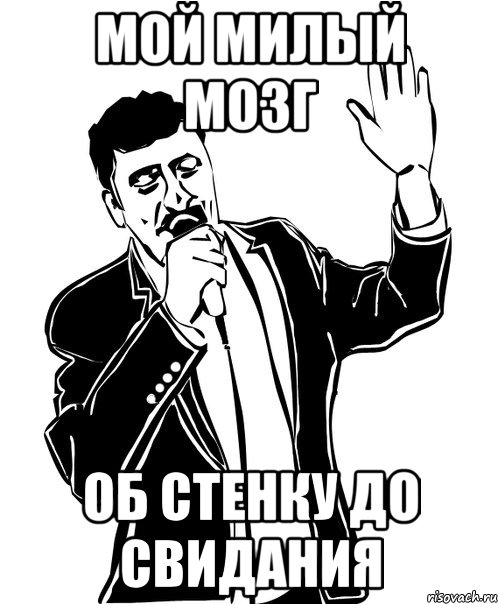мой милый мозг об стенку до свидания, Мем Давай до свидания
