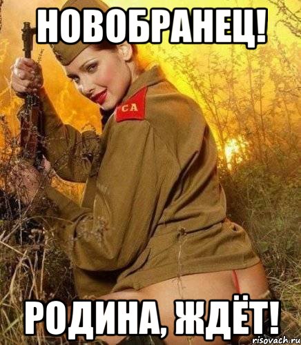 новобранец! родина, ждёт!