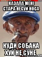 Казала мені стара несуй носа Куди собака хуй не суне