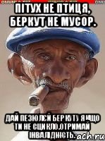 Пітух не птиця, Беркут не мусор. Дай пезюлєй беркуту якщо ти не сцикло.Отримай інвалідність.