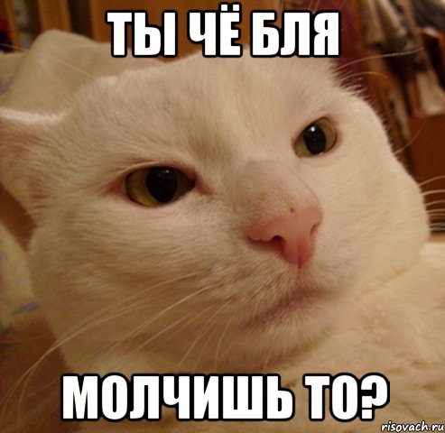 ты чё бля молчишь то?