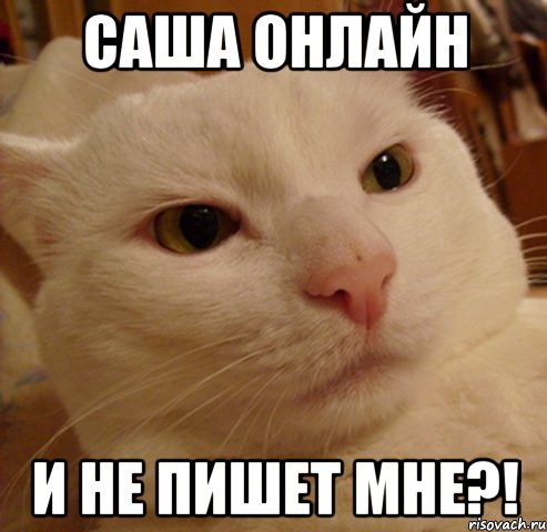 саша онлайн и не пишет мне?!