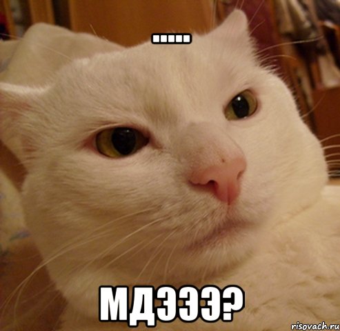 ..... мдэээ?