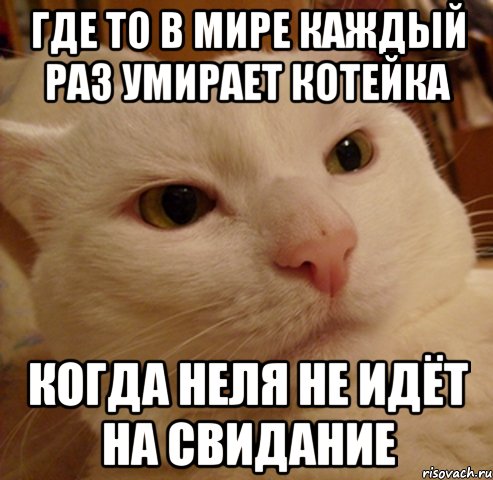 где то в мире каждый раз умирает котейка когда неля не идёт на свидание