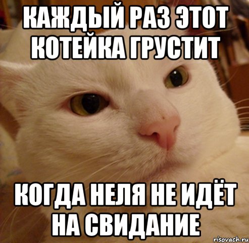 каждый раз этот котейка грустит когда неля не идёт на свидание