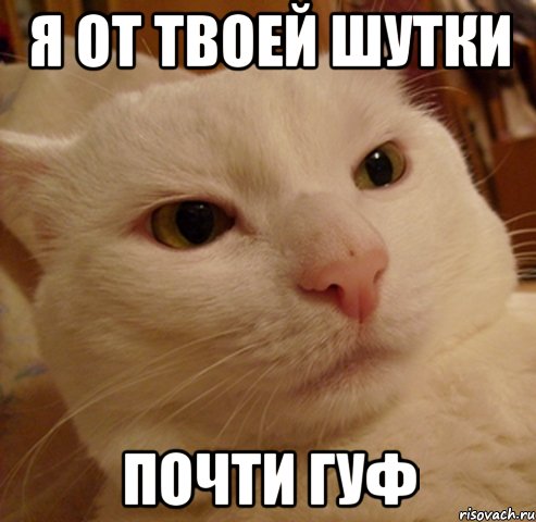 я от твоей шутки почти гуф