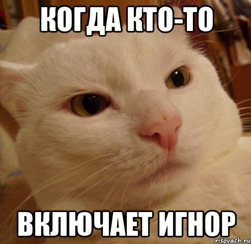 когда кто-то включает игнор