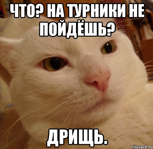 что? на турники не пойдёшь? дрищь.