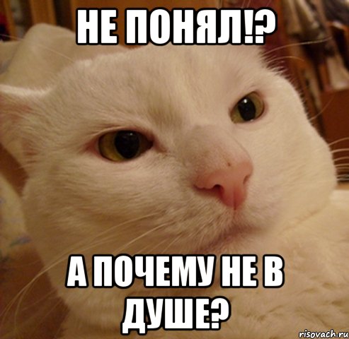 не понял!? а почему не в душе?