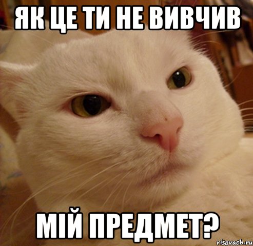 як це ти не вивчив мій предмет?