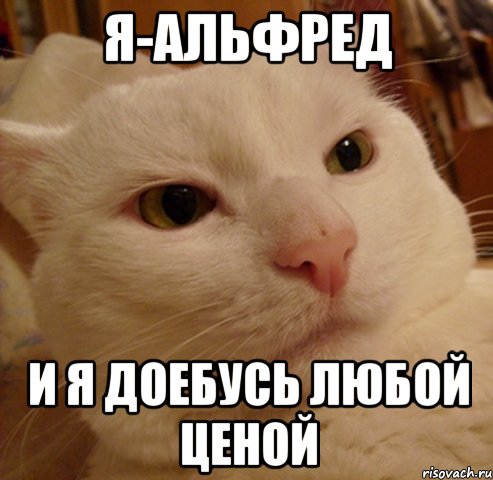 я-альфред и я доебусь любой ценой