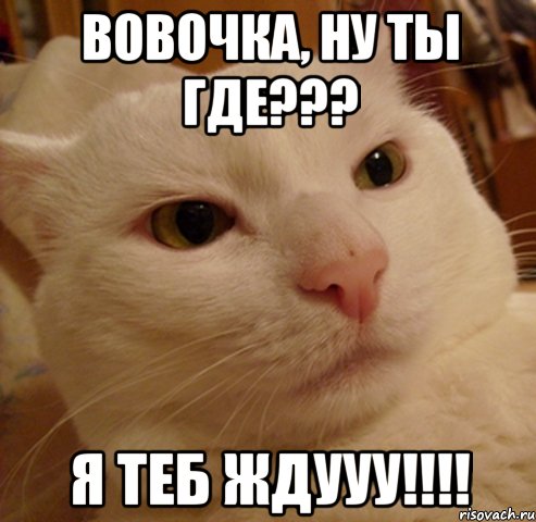 вовочка, ну ты где??? я теб ждууу!!!