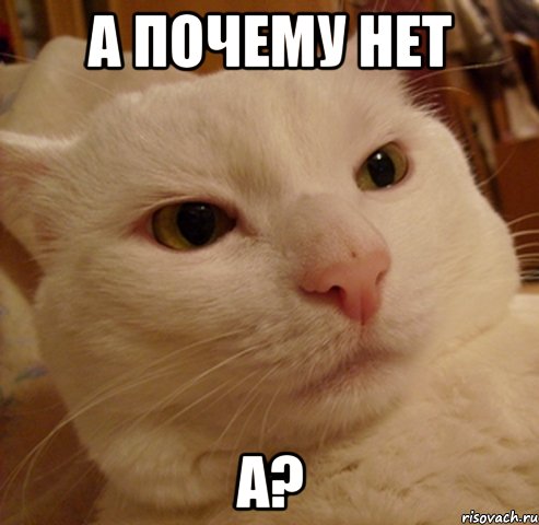 а почему нет а?
