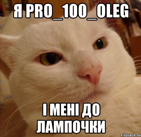 я pro_100_oleg і мені до лампочки