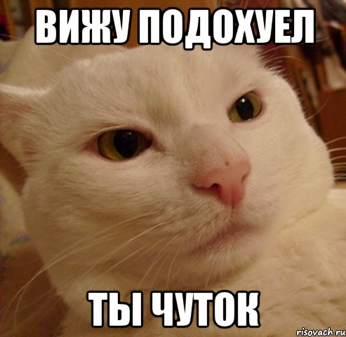 вижу подохуел ты чуток