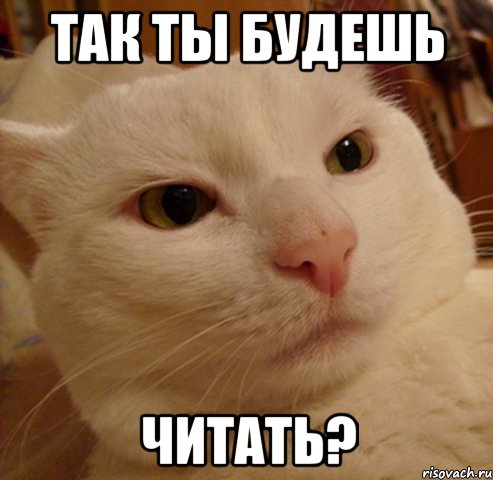 так ты будешь читать?