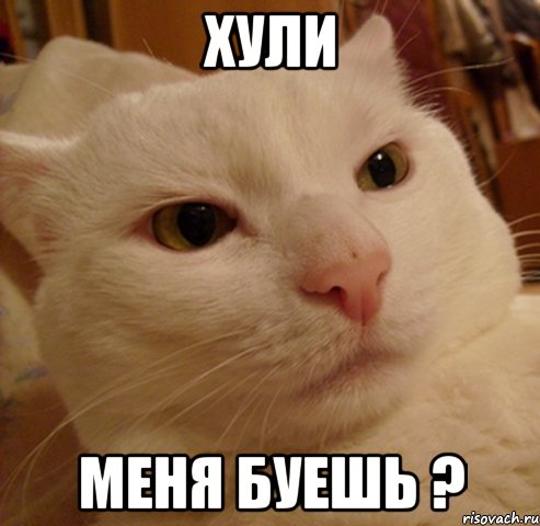 хули меня буешь ?