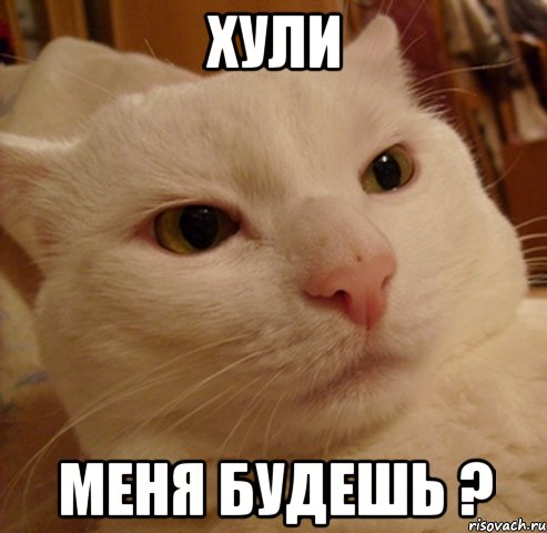 хули меня будешь ?