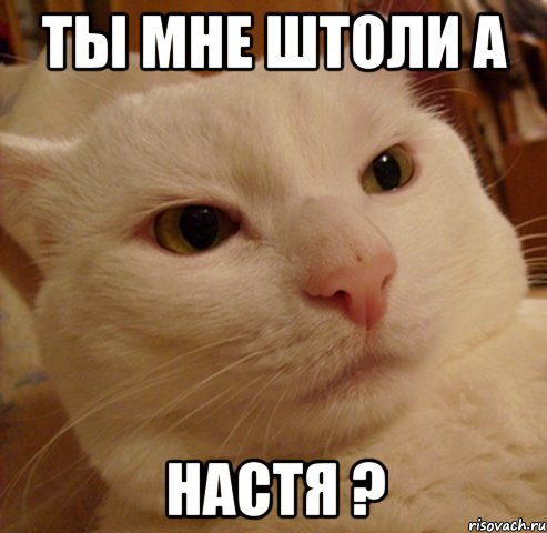 ты мне штоли а настя ?