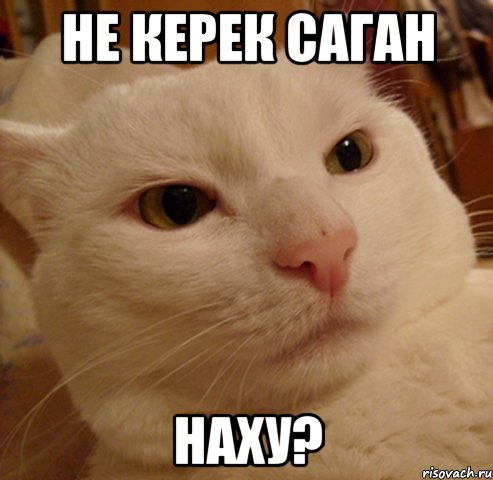 не керек саган наху?