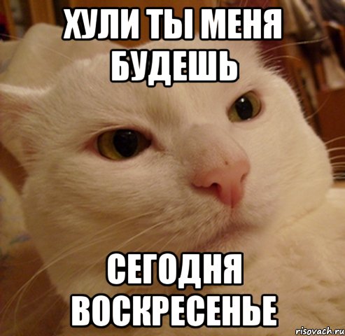 хули ты меня будешь сегодня воскресенье