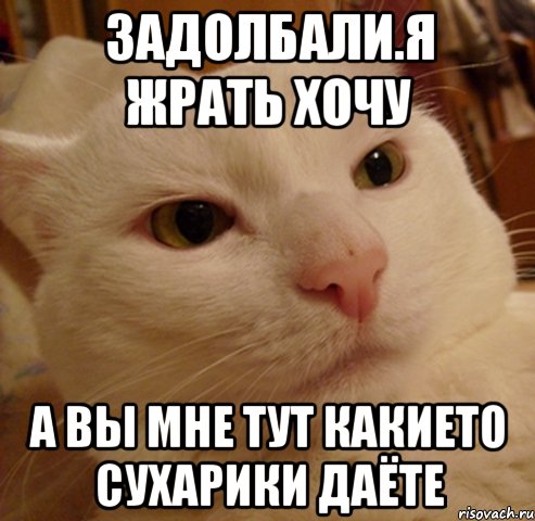 задолбали.я жрать хочу а вы мне тут какието сухарики даёте