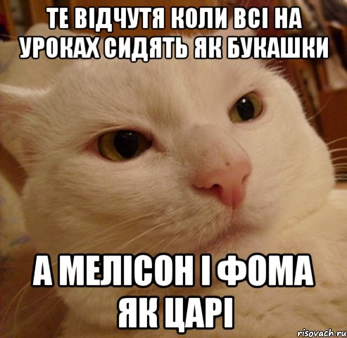 те відчутя коли всі на уроках сидять як букашки а мелісон і фома як царі
