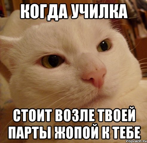 когда училка стоит возле твоей парты жопой к тебе