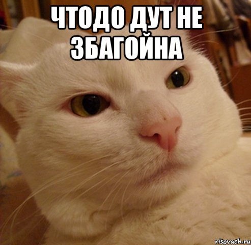 чтодо дут не збагойна 