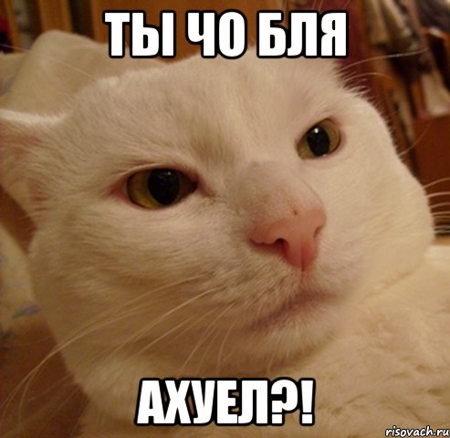 ты чо бля ахуел?!
