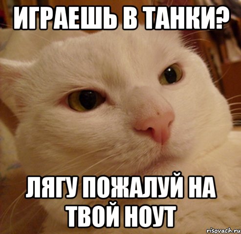 играешь в танки? лягу пожалуй на твой ноут