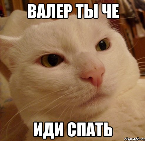 валер ты че иди спать