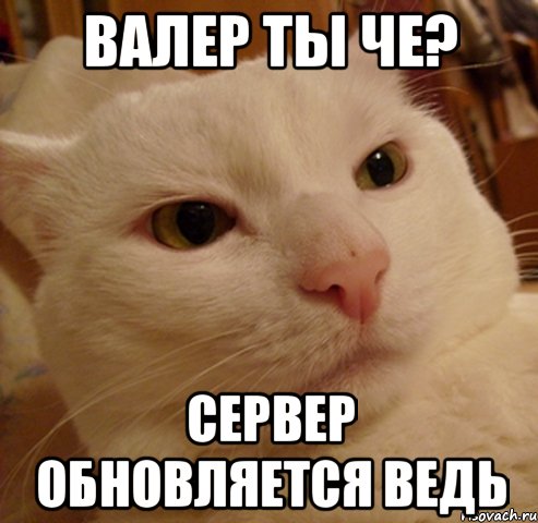 валер ты че? сервер обновляется ведь