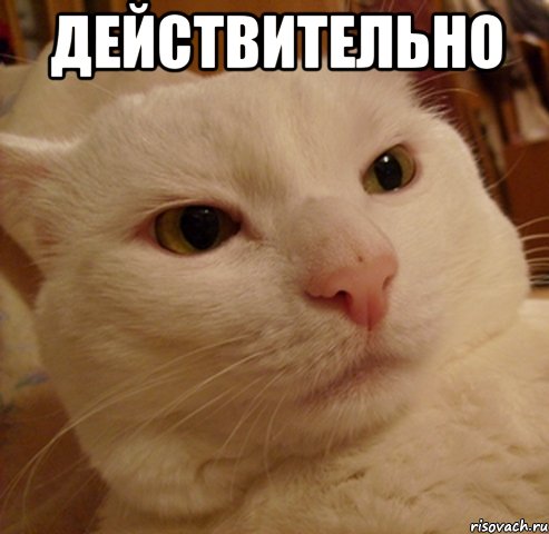 действительно 