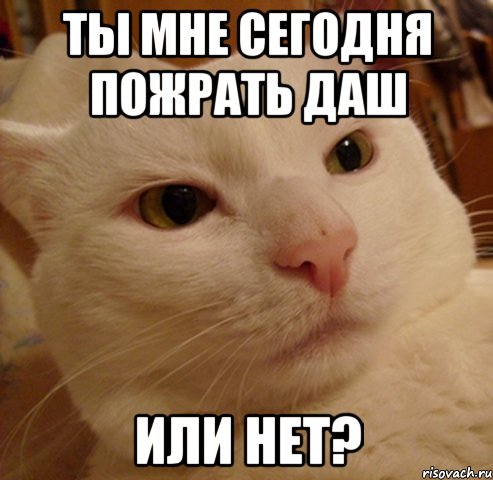 ты мне сегодня пожрать даш или нет?