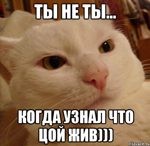 ты не ты... когда узнал что цой жив)))