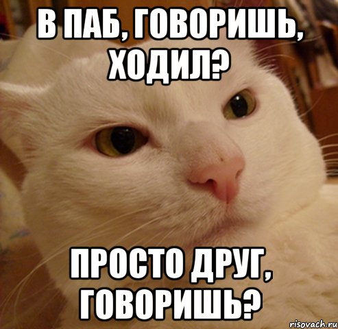 в паб, говоришь, ходил? просто друг, говоришь?