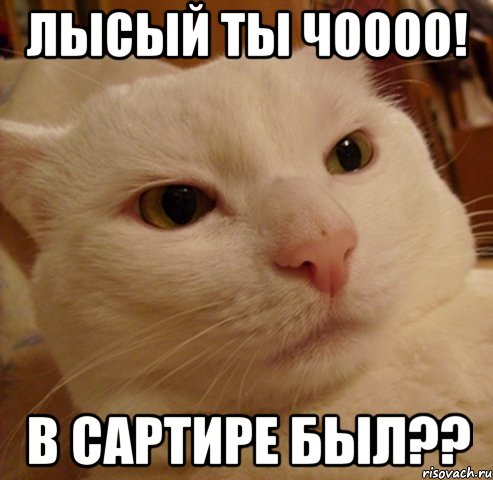 лысый ты чоооо! в сартире был??